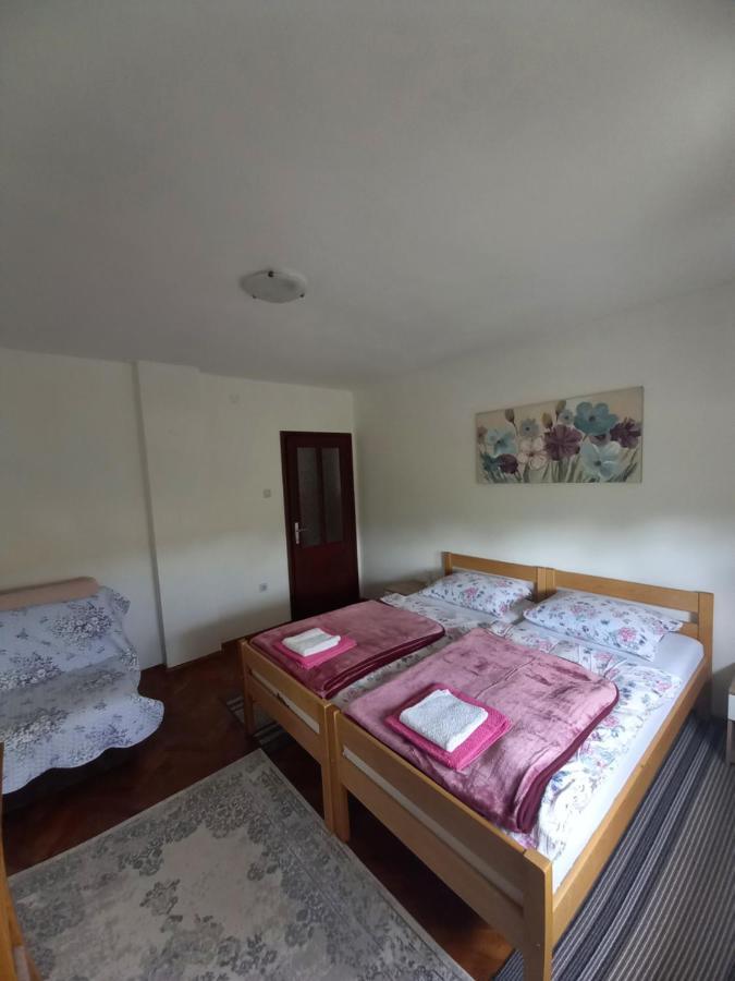 Villa House Veljko à Vrhovine Extérieur photo