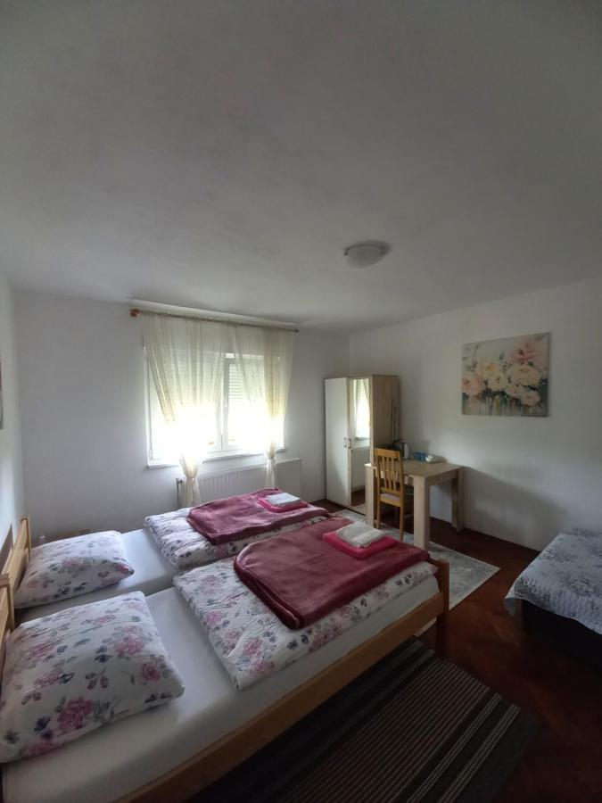 Villa House Veljko à Vrhovine Extérieur photo