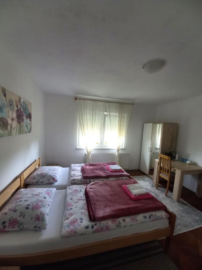 Villa House Veljko à Vrhovine Extérieur photo