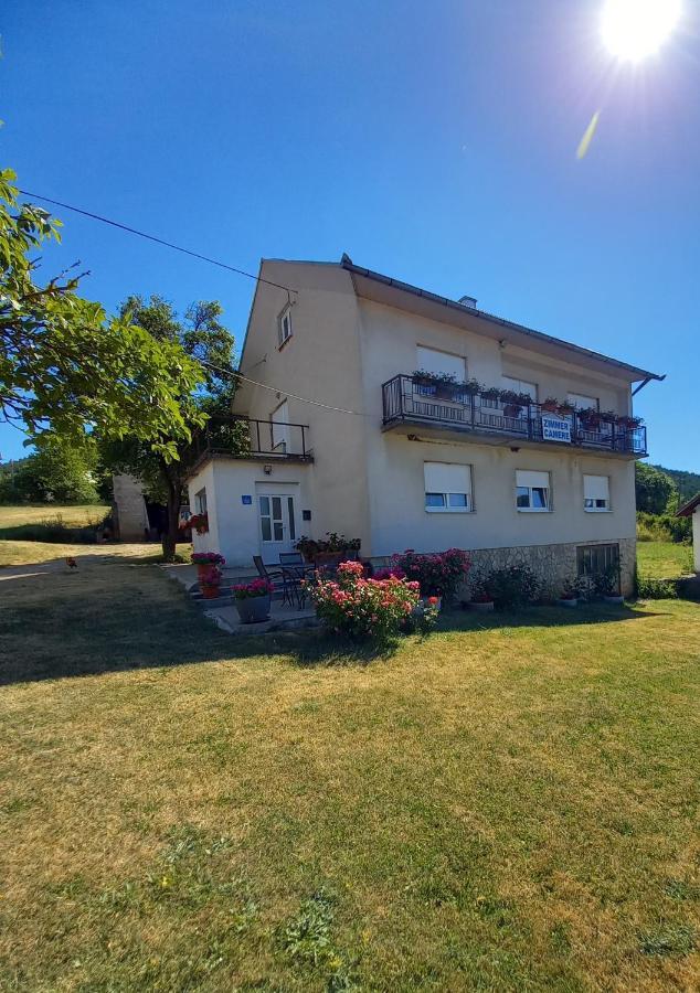 Villa House Veljko à Vrhovine Extérieur photo
