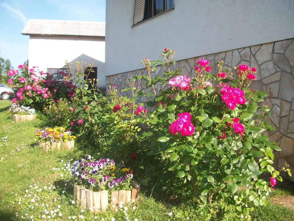 Villa House Veljko à Vrhovine Extérieur photo